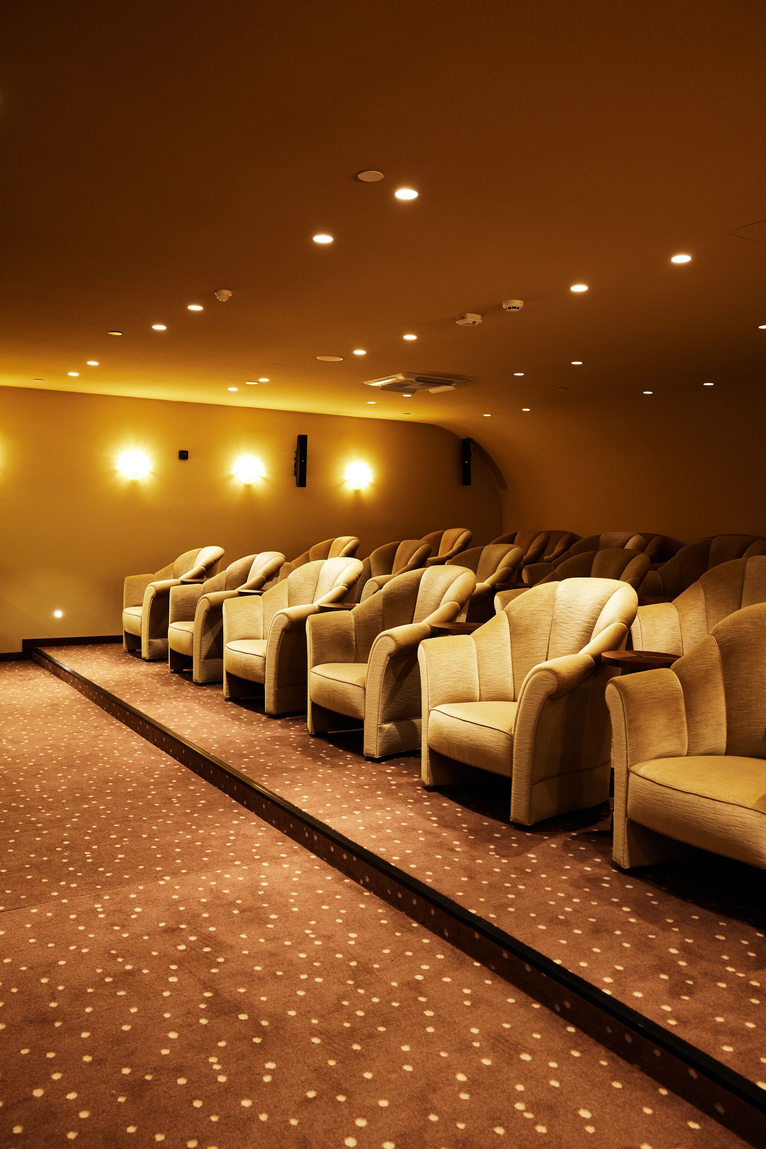 A cinema with rows of plush, beige seating and a carpeted floor.
