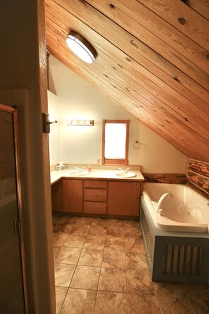 Combined shower/tub, hair dryer - Log Haven in Blanding (Blanding)