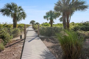 A wooden pathway leading to a gated entrance surrounded by palm trees and dry vegetation. - 503 Shorewood: 2 BR Oceanfront Penthouse Villa. Stunning Views, Free Bikes (Hilton Head Island)