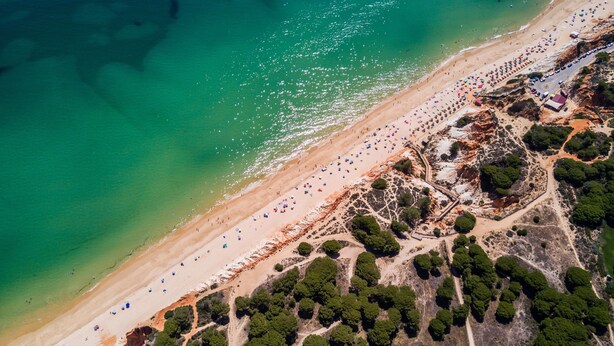 An aerial view of a beach with clear turquoise water, a sandy shore, and scattered trees. - BnBird Sunny Algarve @ Vilamoura (Loulé)