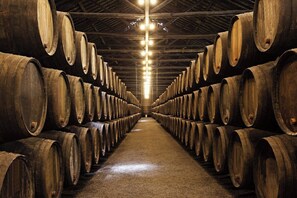 Un largo pasillo bordeado de barriles de madera, que sugiere un almacén o bodega.