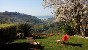 Property grounds - Apartment/studio with private terrace with sea view (Liguria)
