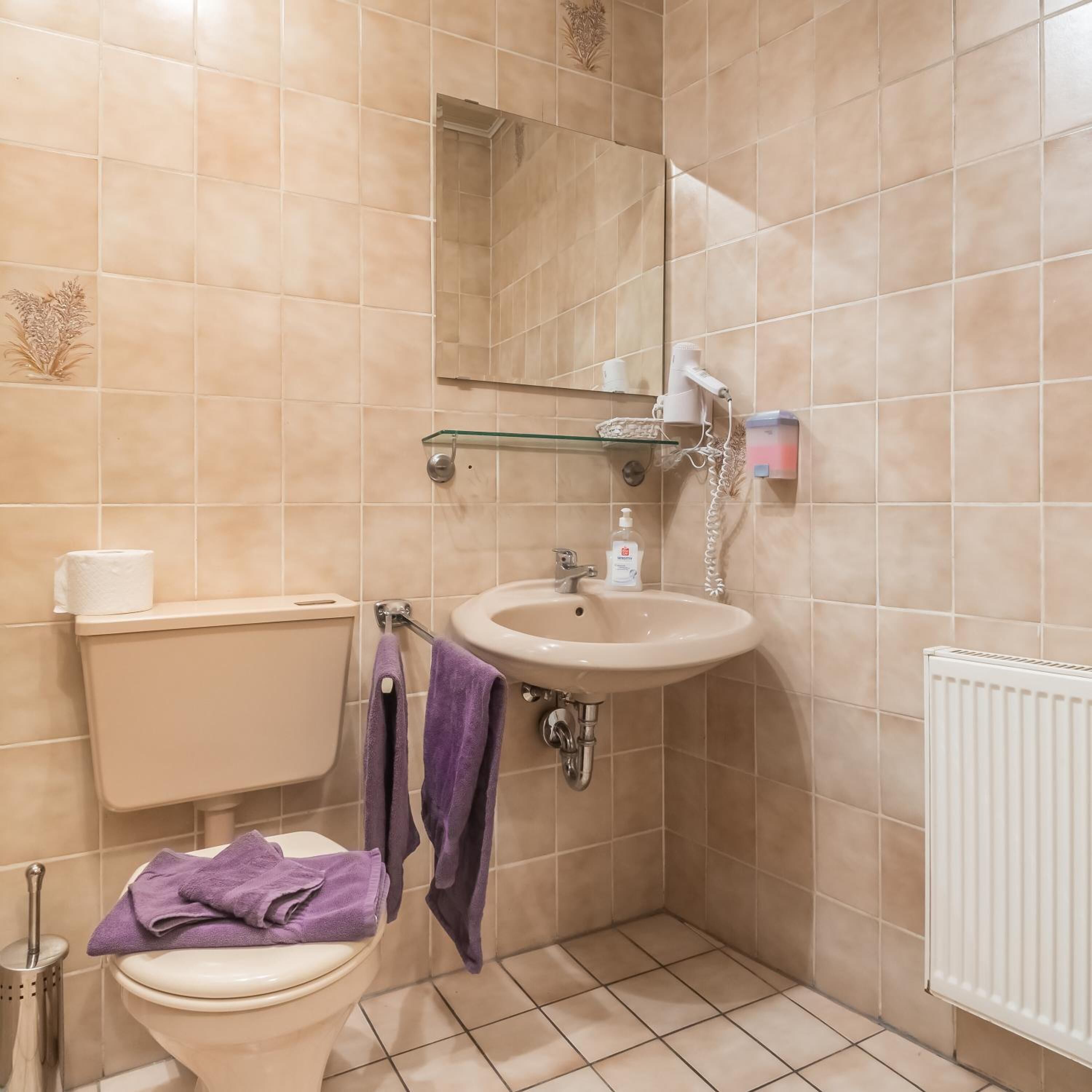 Ein Badezimmer mit Toilette, Waschbecken, Spiegel und Handtuchhalter.
