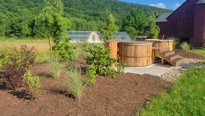 A rustic outdoor setting with wooden barrels, a greenhouse, and a red barn.