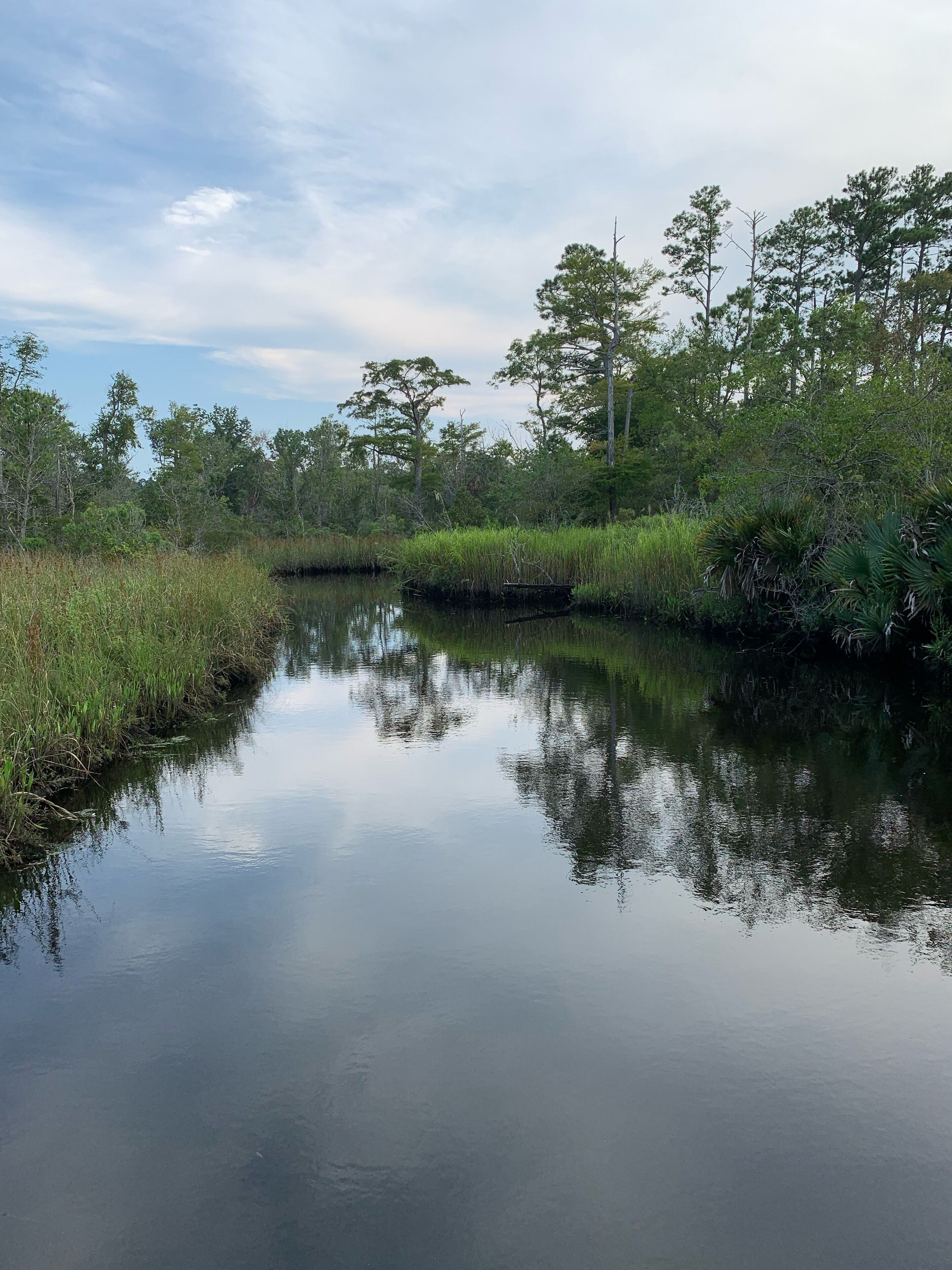 Une rivière paisible, bordée de part et d’autre par une végétation luxuriante et des arbres.