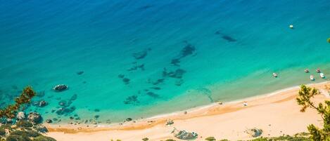 Ubicación cercana a la playa y servicio de transporte a la playa