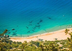 A beach with clear turquoise water, sandy shore, and green vegetation. - Anthoula Sun (Rhodes)