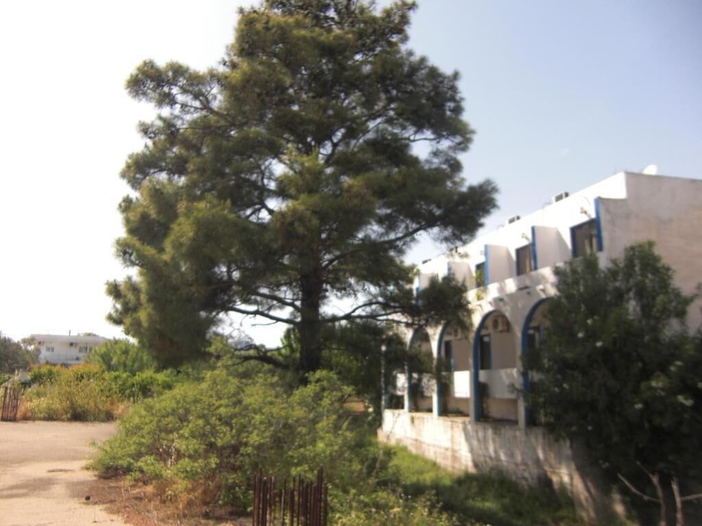 Ein Gebäude mit einem großen Baum davor, einer gepflasterten Fläche und einem weißen Gebäude mit blauen Akzenten.