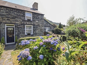 A stone building with a door, windows, and a garden with hydrangea flowers.