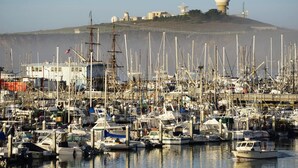 A marina with numerous boats docked, a large radar dome on a hill, and a building with a flag. - Experience the perfection of Half Moon Bay Oasis By Pillar Point Beach! (El granada)