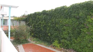 A pathway leading to a building with a green hedge.