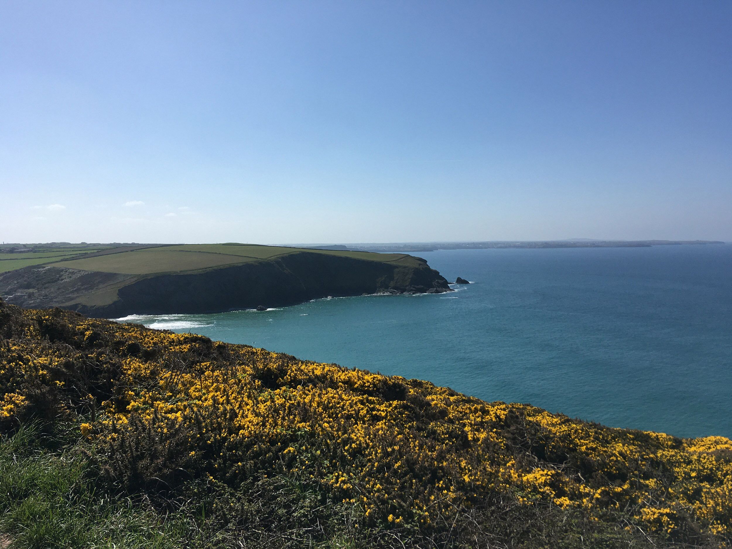 A coastal landscape with a grassy cliff and yellow flowers in the foreground, leading to a view of the sea and distant land.