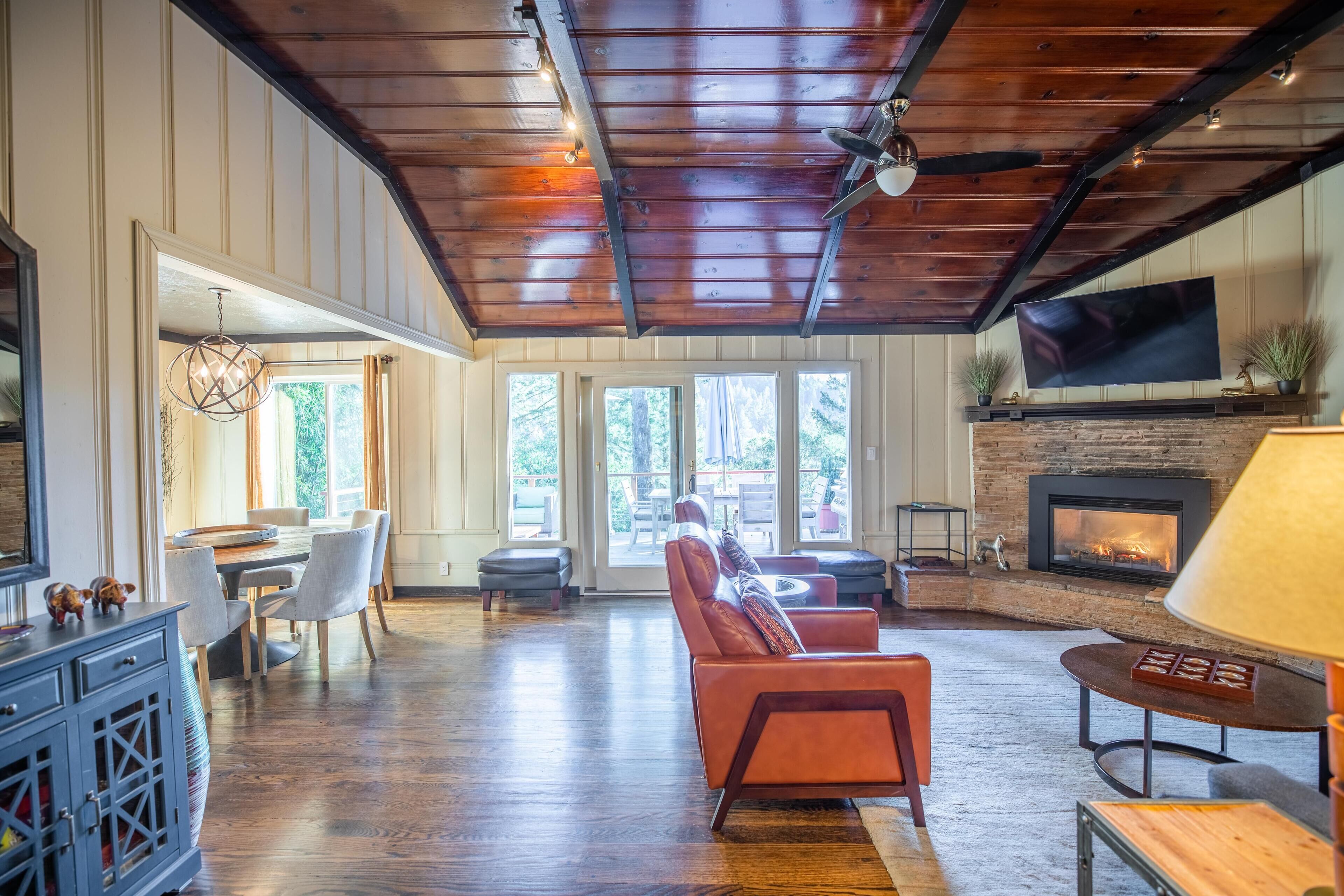 Smart TV, fireplace, books