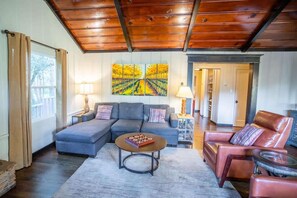 TV connectée, cheminée, livres