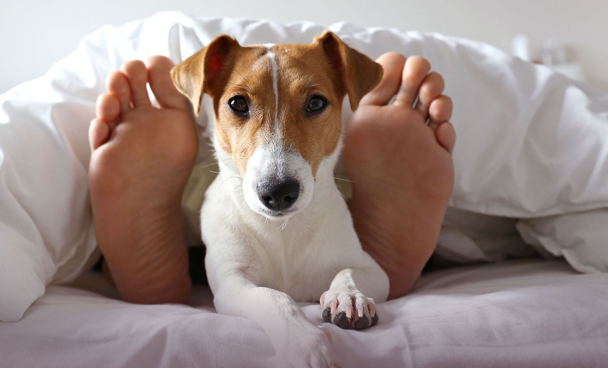 in-room safe, laptop workspace, blackout curtains, soundproofing