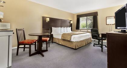 Super 8 by Wyndham Fort Worth Downtown South