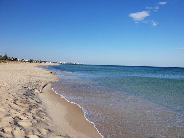 Strand