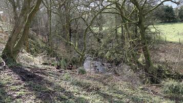 A natural landscape with a stream, trees, and a grassy field.