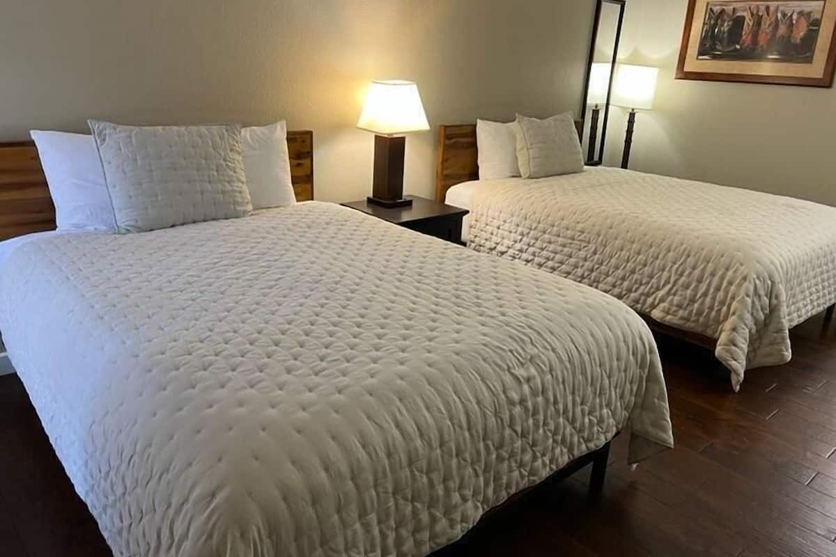 Habitación básica | 1 habitación, tabla de planchar con plancha, wifi gratis y ropa de cama