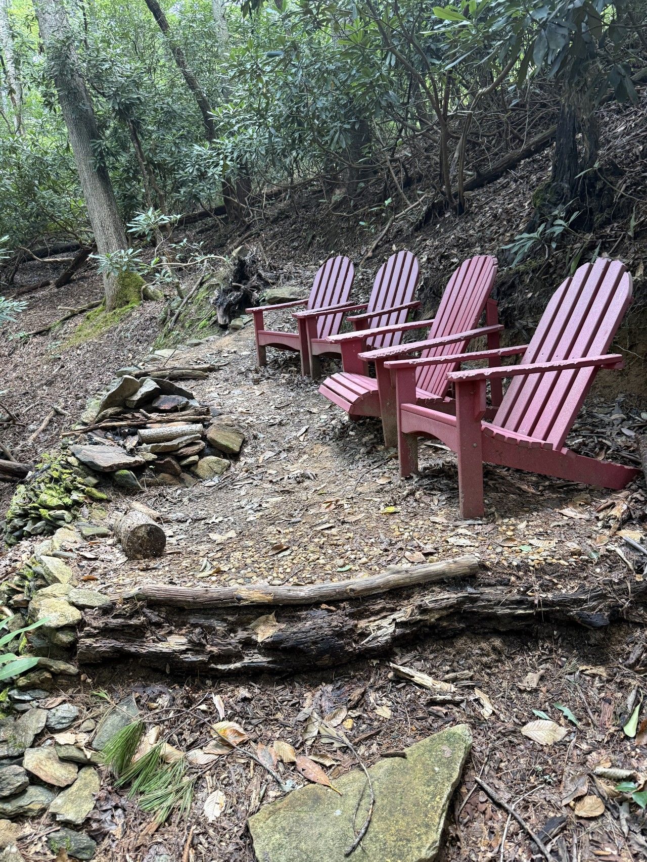 Zona boscosa con una pila di legna da ardere e tre poltrone Adirondack.