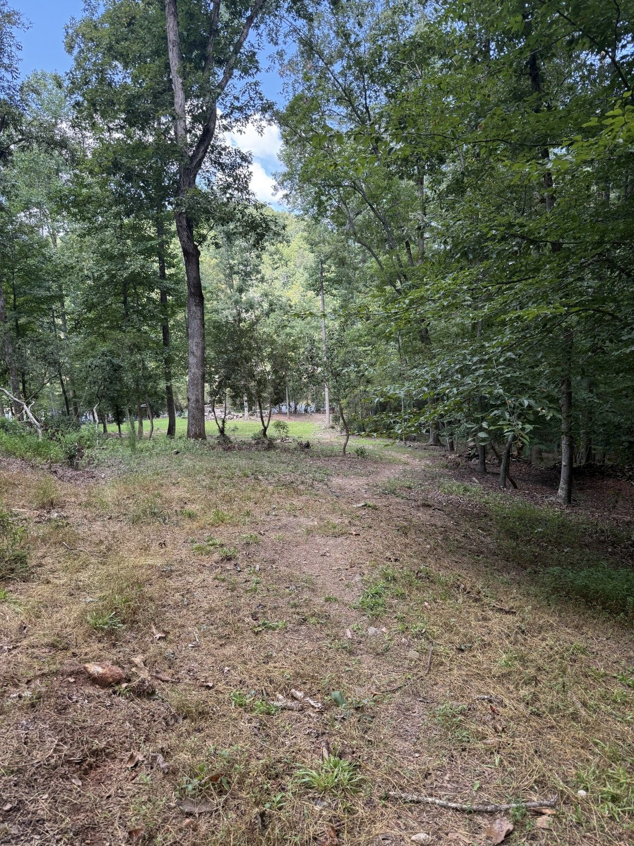 A forested area with a dirt path and trees.