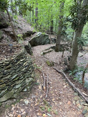 Uma área arborizada com um muro de pedra e um caminho estreito.