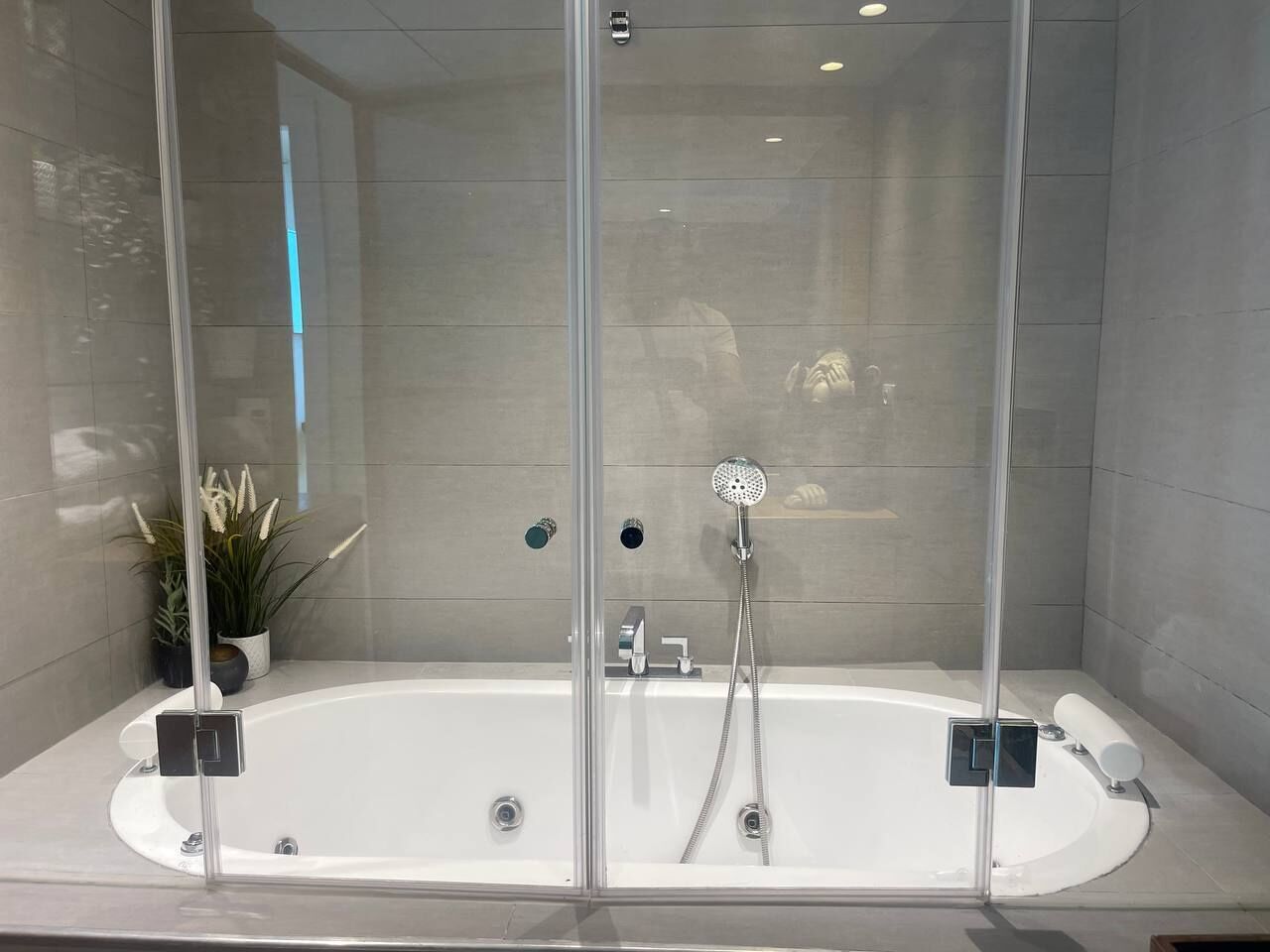 Ein modernes Badezimmer mit einer gläsernen Whirlwanne, einer Topfpflanze und einer Duschbrause.