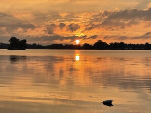 Ein Sonnenuntergang über ruhigem Wasser mit einer Baumsilhouette und einer kleinen Insel in der Ferne.