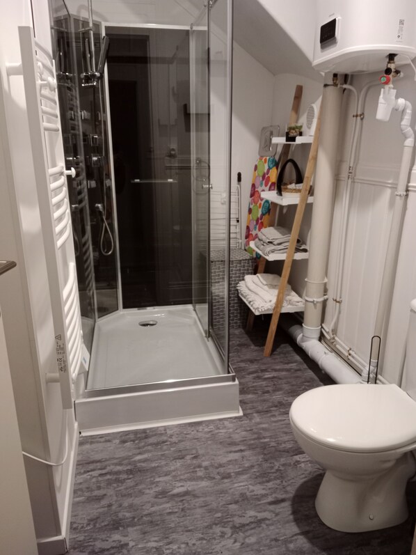 Shower, hair dryer, towels, soap