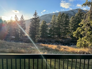 Property grounds - Grand Hyatt| Contempaorary, large creekside condo w/ wood burning fireplace & large modern kitchen (Vail)