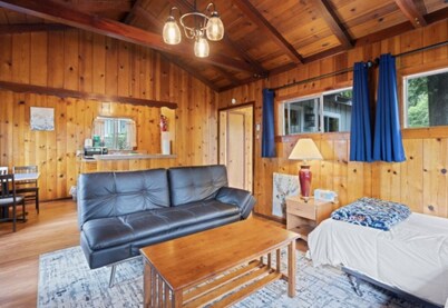 Mason - Cabin Masoods Lodge