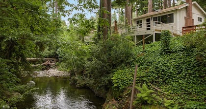 Jaxen - Cabin Masoods Lodge