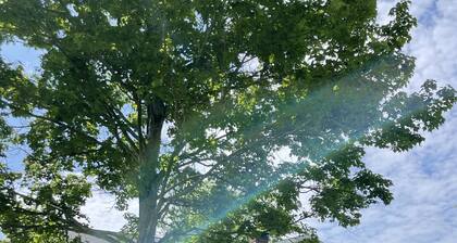 Charming Jefferson City Retreat