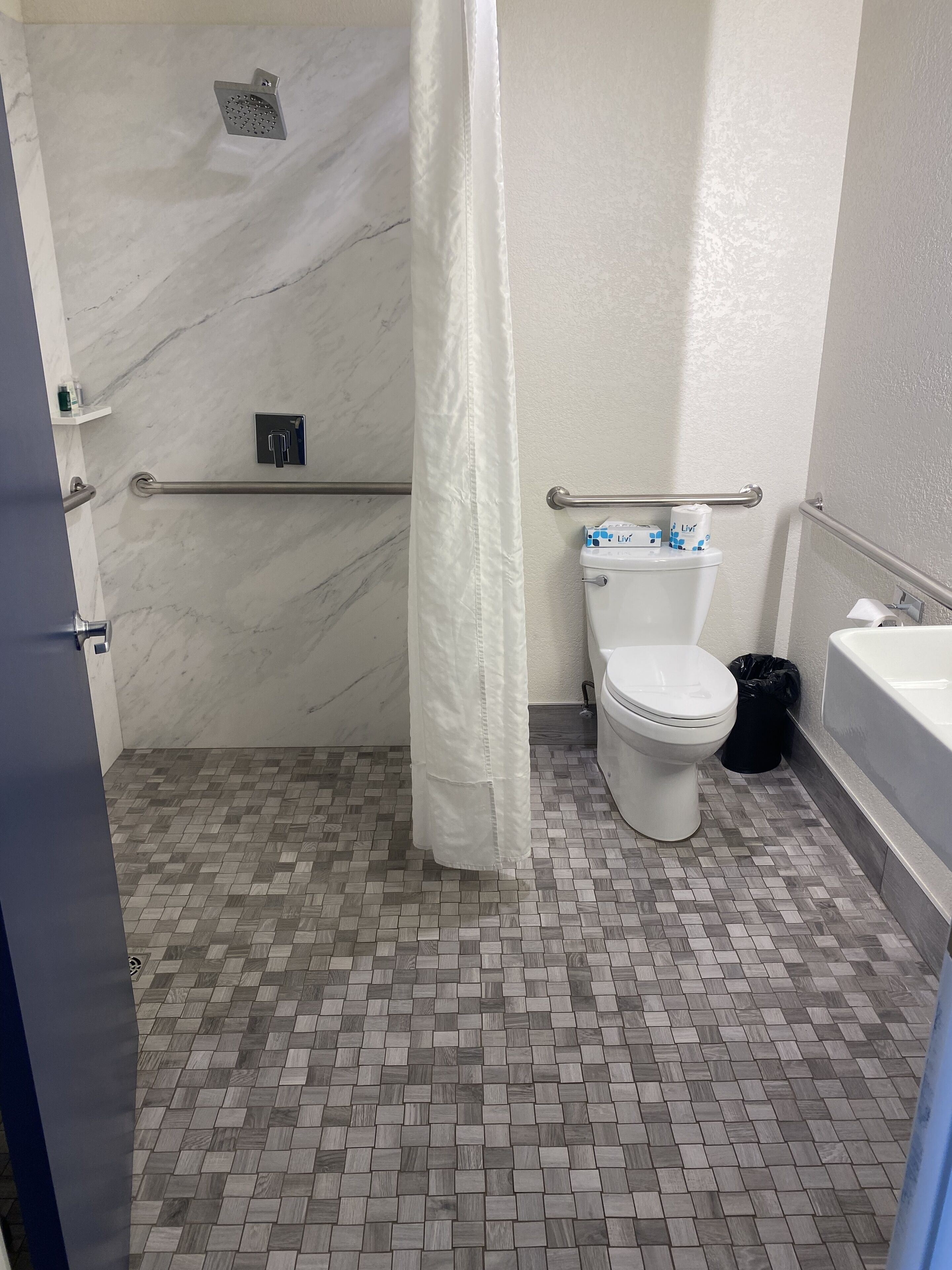 Une salle de bain équipée d’une douche, de toilettes et de barres d’appui.