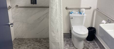 Une salle de bain équipée d’une douche, de toilettes et de barres d’appui.