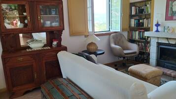 Televisión, chimenea, videojuegos, reproductor de DVD