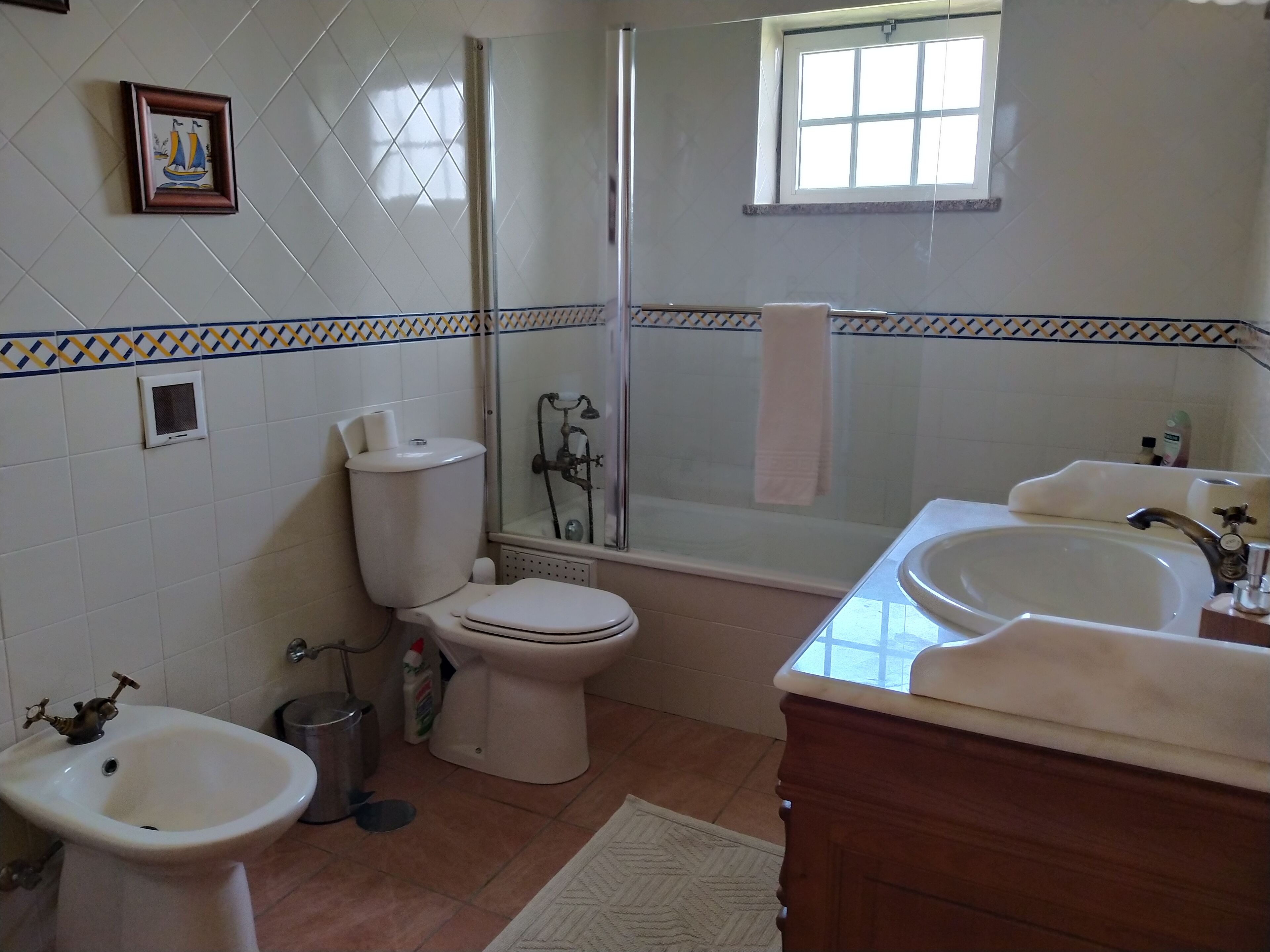 Combined shower/tub, hair dryer, bidet, towels