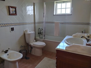 Combined shower/tub, hair dryer, bidet, towels