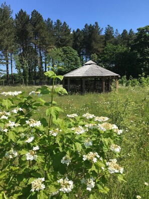 Classic-Apartment, mit Bad | Garten