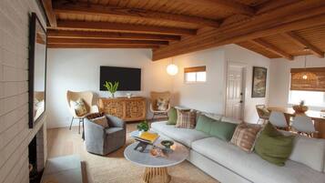 Smart TV, fireplace, books