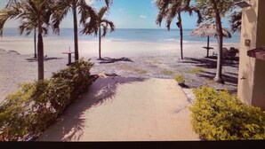Un camino bordeado de palmeras y una sombrilla de paja que conduce a una playa arenosa.