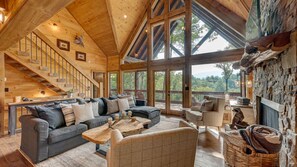 TV, fireplace, books