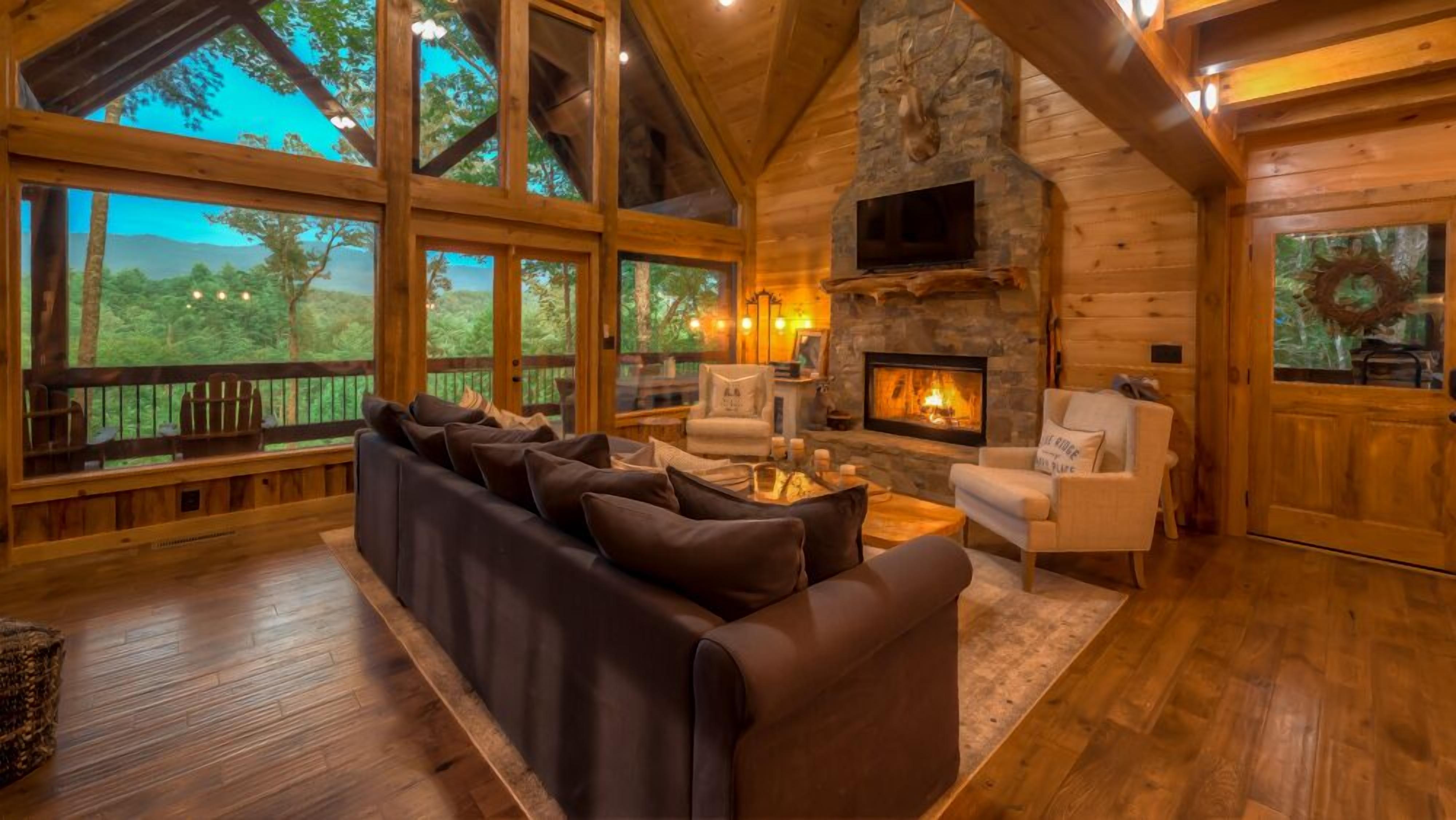 TV, fireplace, books