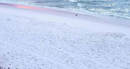 "SALT THERAPY" Waterfront Condo. Destin, Florida