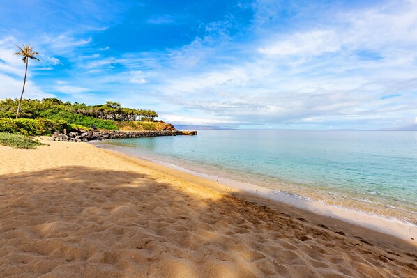 A beach with clear water, a sandy shore, and a palm tree. - Sunny corner unit, natural light and breezy vibes (Lahaina)