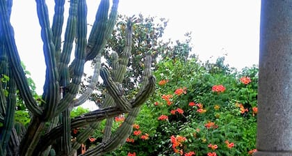 Detached Luxury Villa