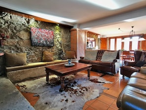 TV, fireplace, books