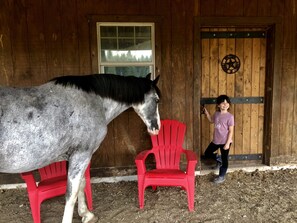 Property grounds - Maggie’s Barn & Bunkhouse (Kalispell)
