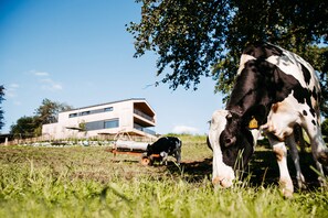 Miscellaneous - Apartment "Anneliese" with Terrace, Garden & Wi-Fi (Neukirch)