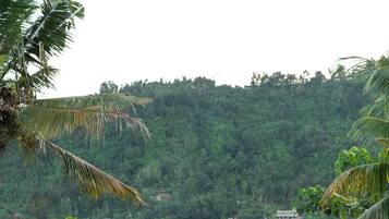 Songket Room | Balcony view